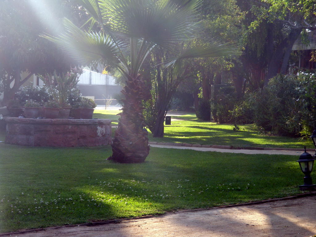El Copihue Olmue Otel Dış mekan fotoğraf